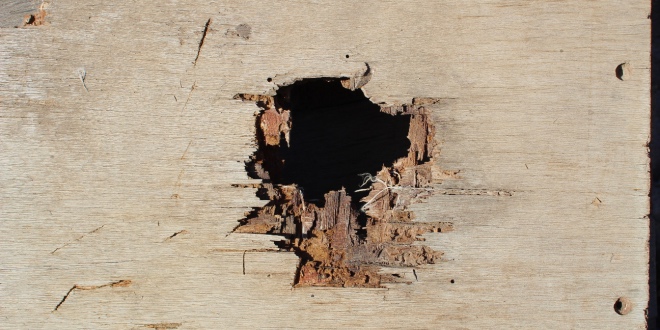 A hole in a wooden wall, representing the tax hole in Estonia's iGaming regulation