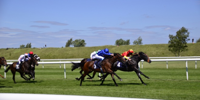 Newmarket horse race, representing bet365 cutting sponsorships there and at Haydock