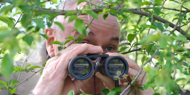 Intricate black market affiliate unearthed in Romania