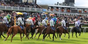 A horse race at Market Rasen, one of the tracks sponsored by Betway