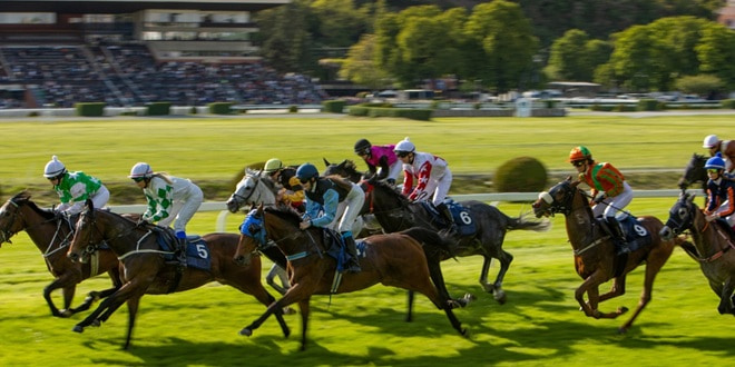 Racing and Sports discusses the best strategies to heaighten the appeal of horse racing among younger players.