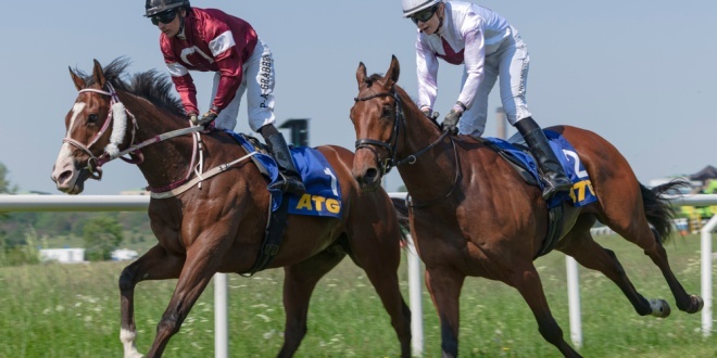 ATG Horse Racing