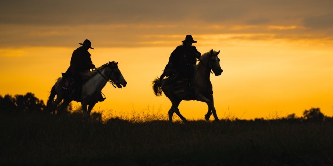 Wild West, which is how Alex Wood described the unlicensed gambling market