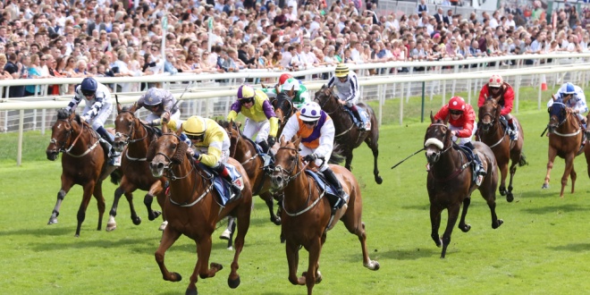 Horse racing, representing the HBLB levy income hitting £110m