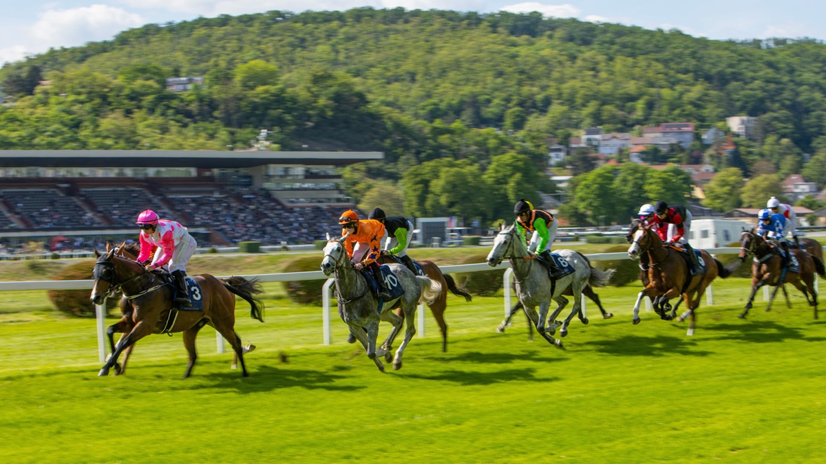 Racing and Sports eyes racing dominance.