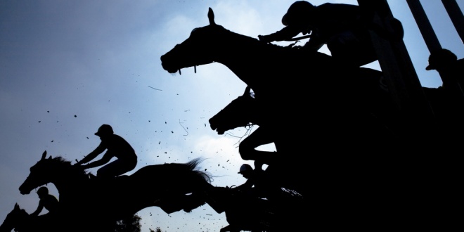 Racehorses jumping over a hurdle