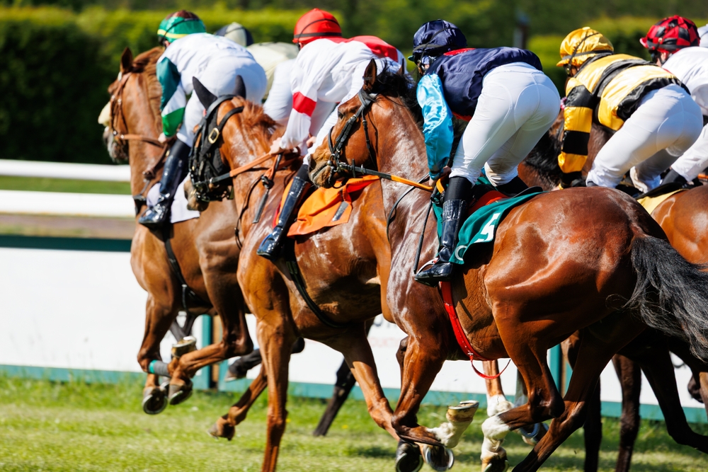 A French horse race, the kind of fixture BetMakers partner PMU takes pool bets on