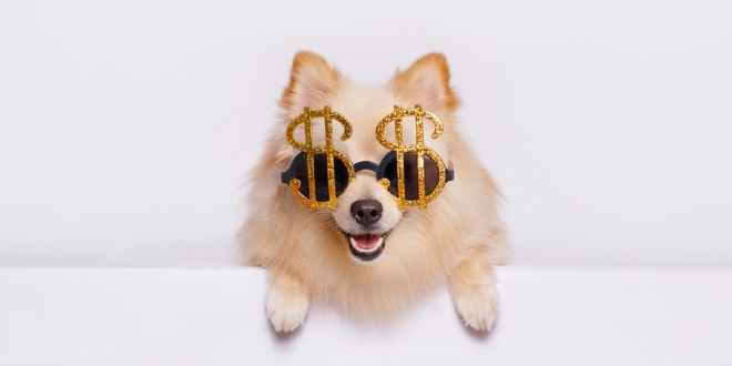 dog, representing Underdog's revenue growth while IG Group revenue falls